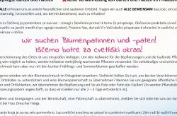 blumenolympiade-hinten.jpg