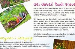 blumenolympiade-vorne.jpg