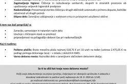 Reinigungskraft Slowenisch