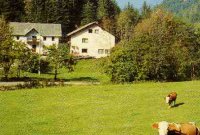 Gasthof Kupitz Foto