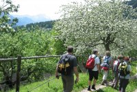 Wander Infostunde Foto